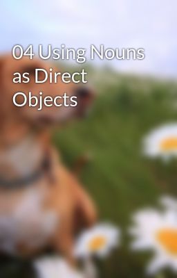 04 Using Nouns as Direct Objects