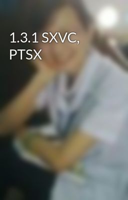1.3.1 SXVC, PTSX