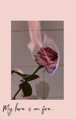 || 12 Chòm Sao [FULL] || Instagram || My Love In On Fire