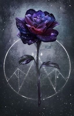 (12 sao) Bông hồng đen