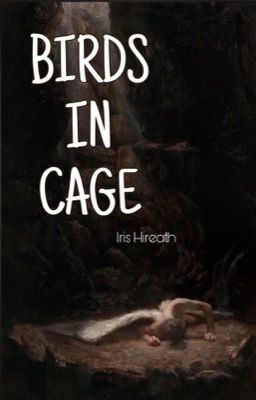 |12cs| Birds In Cage