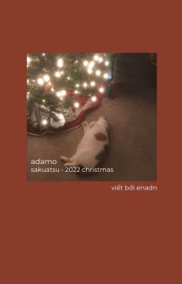2022 Christmas: adamo