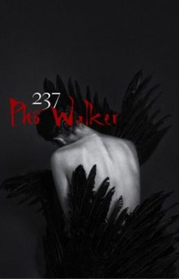 237 Phố Walker