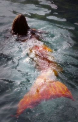 2kim ;; mermaid