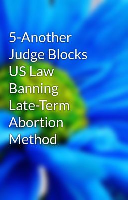 5-Another Judge Blocks US Law Banning Late-Term Abortion Method