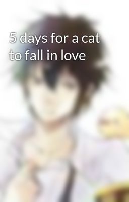 5 days for a cat to fall in love