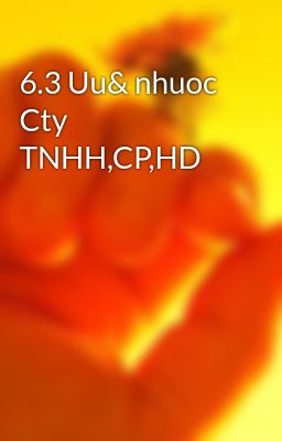 6.3 Uu& nhuoc Cty TNHH,CP,HD