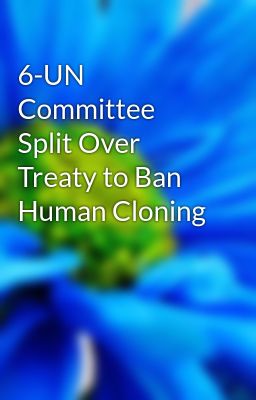 6-UN Committee Split Over Treaty to Ban Human Cloning