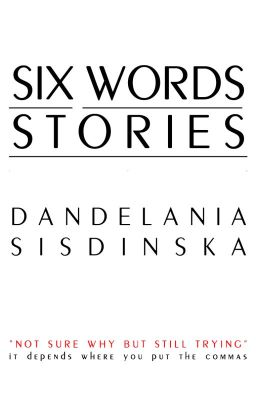 6 words stories