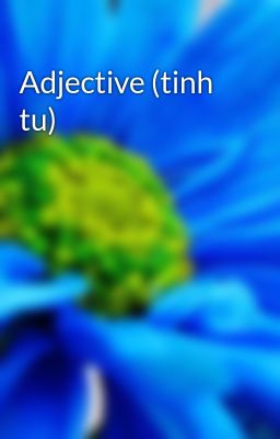 Adjective (tinh tu)