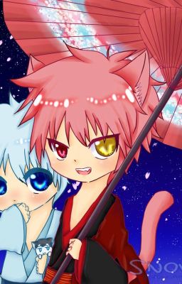 [AkaKuro|Shortfic] Tetsuya bị biến thành mèo!!!!!!!