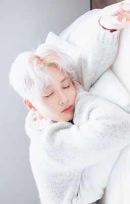 [AllHan fanfic] Jeonghanie, ngủ ngon nhé !