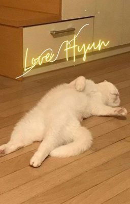[AllHyun] Hyunjin and love things
