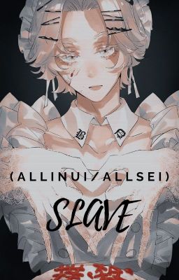 (allinui/allsei)Slave
