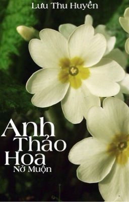 Anh Thảo Hoa Nở Muộn - Lưu Thu Huyền - Đang sáng tác