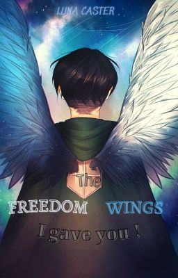 [Attack on Titan Fanfiction](Levi x Reader) The Freedom Wings I gave you !