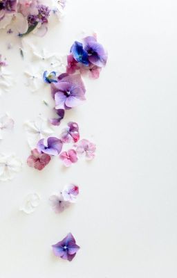 [BajiKazu] Hoa nở muộn