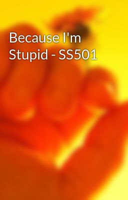 Because I'm Stupid - SS501