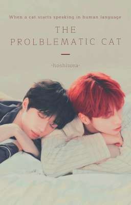 Beomtyun || The Problematic Cat