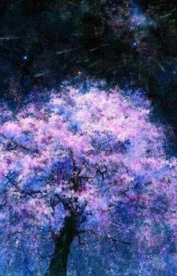 [BH] [ĐN Fairy Tail] Những cánh hoa mà người đã đưa cho tôi khi ấy