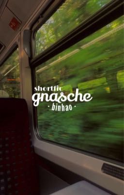 [BinHao] Gnasche | shortfic