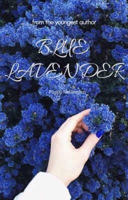 Blue Lavender - Oải Hương Xanh