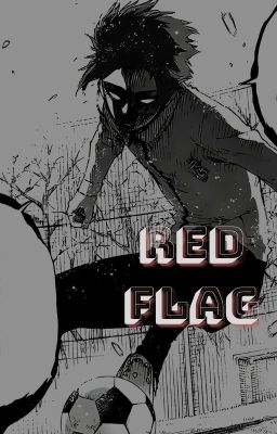 [Blue Lock x Reader] RED FLAG | R18