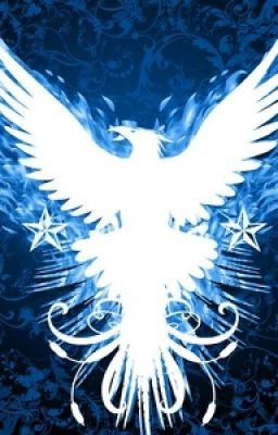 Blue Phoenix Mới Là Ngôi Nhà Thật Sự Của Tôi !