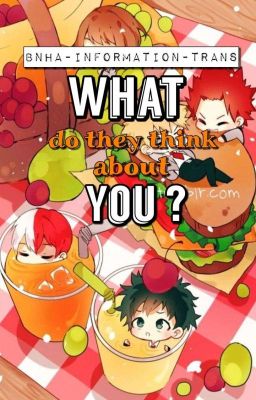 [BnHA x Reader] [Information - TRANS] : What do they think about you ? 