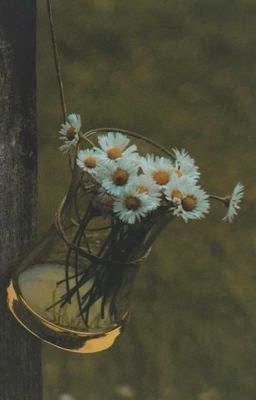 Bông hoa đẹp nhất | Satzu