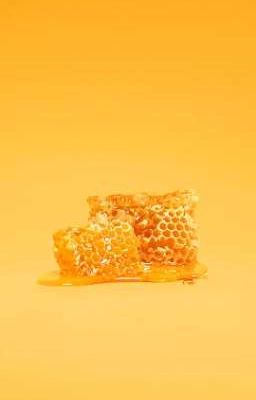 [Brandree] Mật ong của Thế Anh
