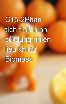 C15-2Phân tích tình hình sử dụng nhiên liệu khí từ Biomass