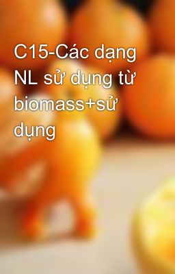 C15-Các dạng NL sử dụng từ biomass+sử dụng