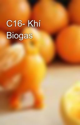 C16- Khí Biogas
