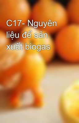 C17- Nguyên liệu để sản xuất biogas