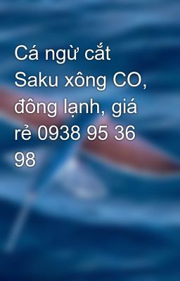 Cá ngừ cắt Saku xông CO, đông lạnh, giá rẻ 0938 95 36 98