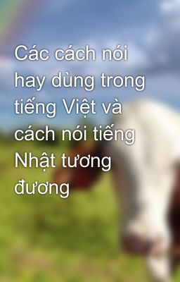 Các cách nói hay dùng trong tiếng Việt và cách nói tiếng Nhật tương đương