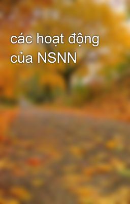 các hoạt động của NSNN