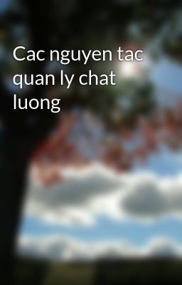 Cac nguyen tac quan ly chat luong