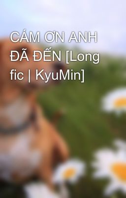 CÁM ƠN ANH ĐÃ ĐẾN [Long fic | KyuMin]