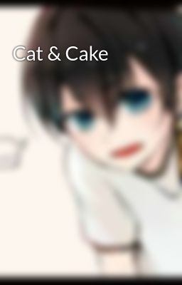 Cat & Cake 