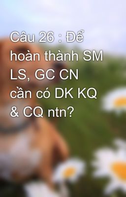 Câu 26 : Để hoàn thành SM LS, GC CN cần có DK KQ & CQ ntn?