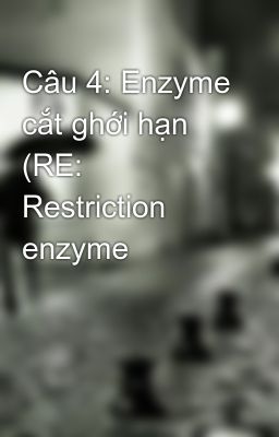 Câu 4: Enzyme cắt ghới hạn (RE: Restriction enzyme