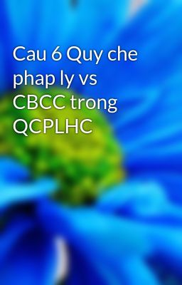 Cau 6 Quy che phap ly vs CBCC trong QCPLHC