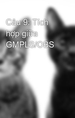 Câu 9: Tích hợp giữa GMPLS/OBS