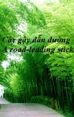 Cây gậy dẫn đường / A road-leading stick