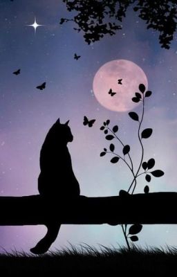 Chú mèo ngồi bên ánh trăng