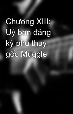 Chương XIII: Uỷ ban đăng ký phù thuỷ gốc Muggle