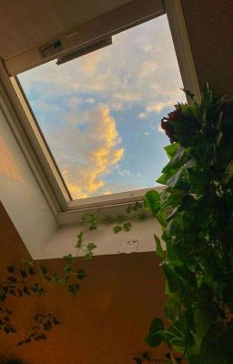 ckv × tgn ; bầu trời bên hiên cửa sổ 