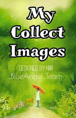 Collect Images_BlueAngel_Team